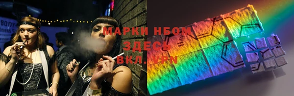 стафф Елизово