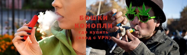 стафф Елизово