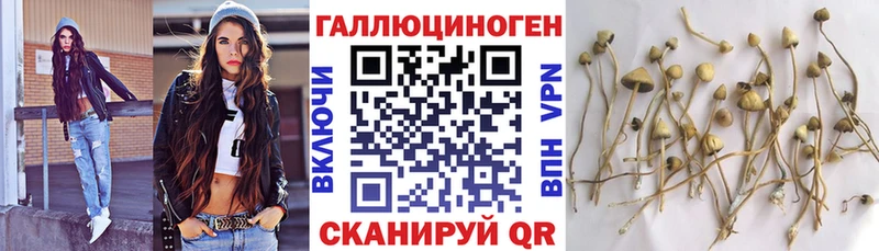 Купить  Кола  Галлюциногенные грибы мицелий 